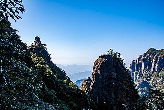 迷幻的水批发价格F3381681-338168